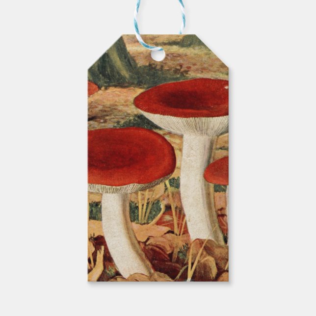 Vintage Mushroom Scrapbook Gift Tags Geschenkanhänger (Vorderseite)
