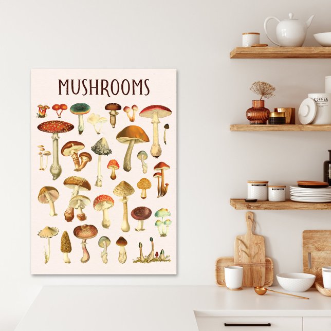 Vintage Mushroom-Übersicht Leinwanddruck (In situ kitchen wall)