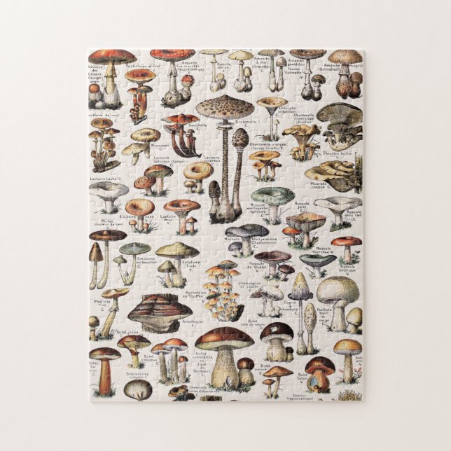 Vintage Mushrooms By Adolphe Millot Puzzle (Vertikal)