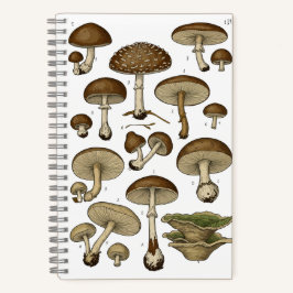 Vintage Mushrooms Notebook Notizbuch