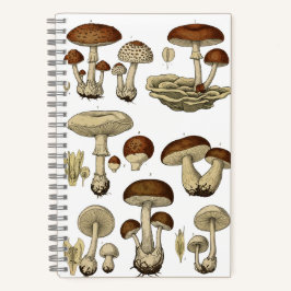 Vintage Mushrooms Notebook Notizbuch