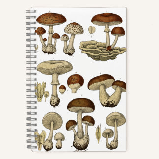 Vintage Mushrooms Notebook Notizbuch