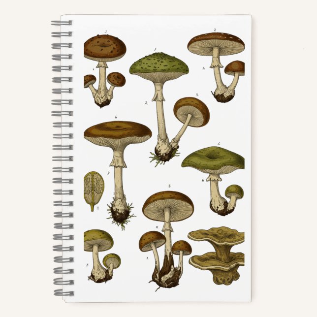Vintage Mushrooms Notebook  Notizbuch (Vorderseite)