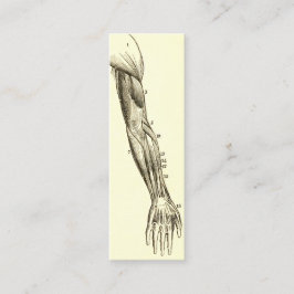 Vintage Muskeln der Anatomie-| des Armes (circa Mini Visitenkarte
