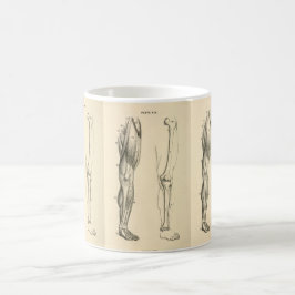 Vintage Muskeln der Anatomie-   | und Knochen des Kaffeetasse