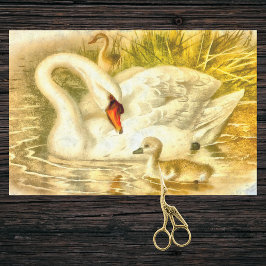 Vintage Mutter Swan Baby Cygnet Wasserfarbe ausseh Seidenpapier