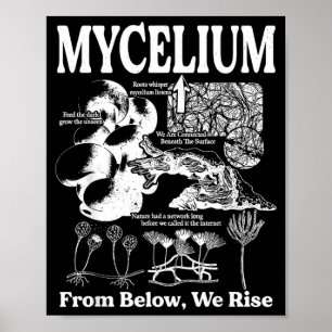 Vintage-Mykel-Netzwerk Pilzbiologie Poster