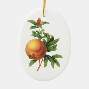 Vintage Nahrungsmittelfrucht, Granatapfel durch Keramikornament