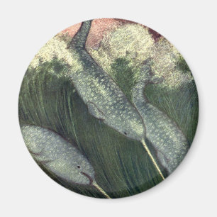Vintage Narbale, Meereswale und Meerestiere Magnet