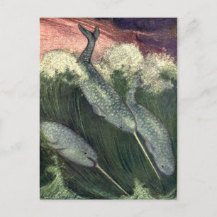 Vintage Narwhals Whales, Marine Life Ocean Animals Postkarte