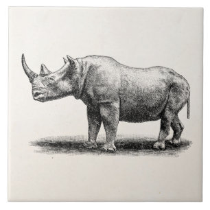 Vintage-Nashorn-Illustration Nashorn Nashörner Fliese