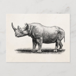 Vintage-Nashorn-Illustration Nashorn Nashörner Postkarte