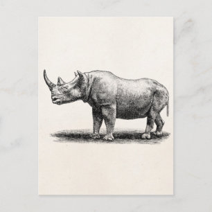 Vintage-Nashorn-Illustration Nashorn Nashörner Postkarte