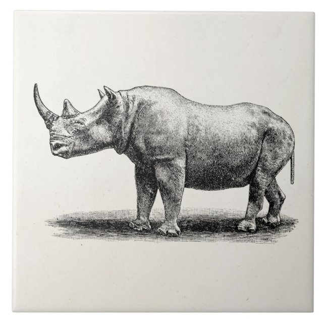 Vintage Nashorn-IllustrationRhinoRhinos Fliese (Vorderseite)