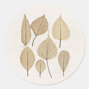 Vintage Naturalist Botanische Zeichnung Blätter Runder Aufkleber