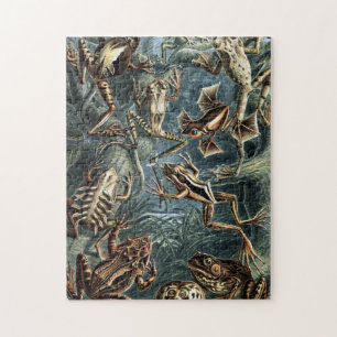 Vintage Naturforscher Ernst Haeckel Frösche und Kr Puzzle