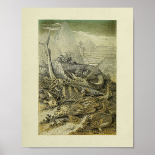 Vintage Naturgeschichte Fisch Illustrationskunst P Poster