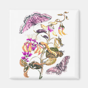 Vintage-Naturillustration von Blume und Schmetterl Magnet