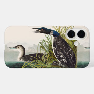 Vintage Naturkunst des Sterntauchers von Audubon iPhone 16 Hülle