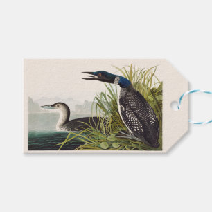 Vintage Naturkunst des Sterntauchers von Audubon Geschenkanhänger