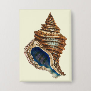 Vintage nautische George Shaw blaue Conch-Schnecke Button