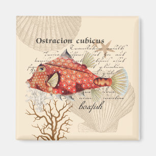 Vintage-nautische Orange-Boxfish-Illustration Magnet