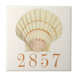 Vintage Nautische Scallop Seashell House-Adresse Fliese