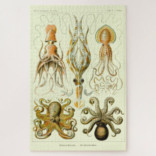 Vintage-nautischer Krake von Ernst Haeckel Puzzle
