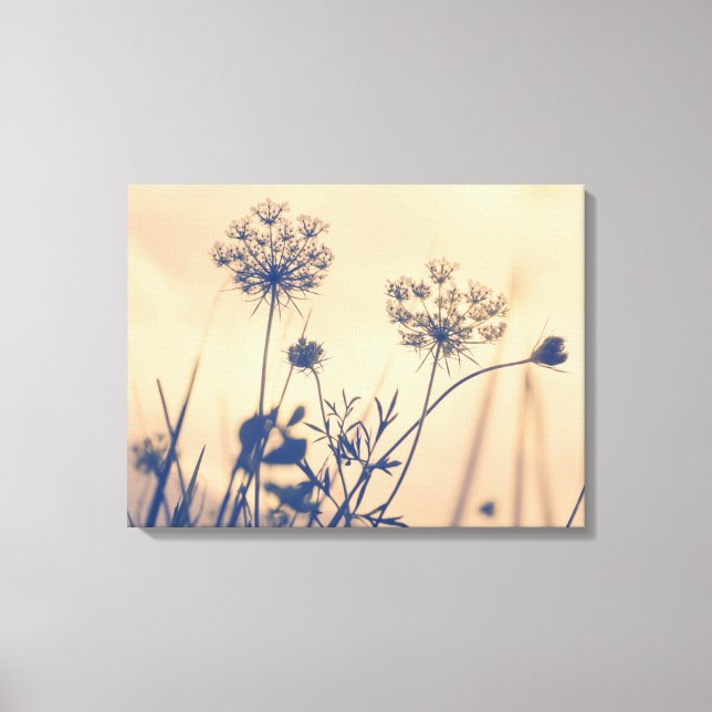 Vintage Navy Umbels Blume Blumenfotografie Leinwanddruck (Vorderseite)