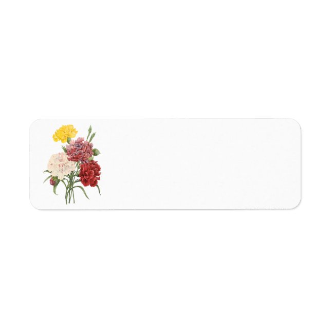 Vintage Nelken Dianthus Garden Blume Redoute (Vorne)