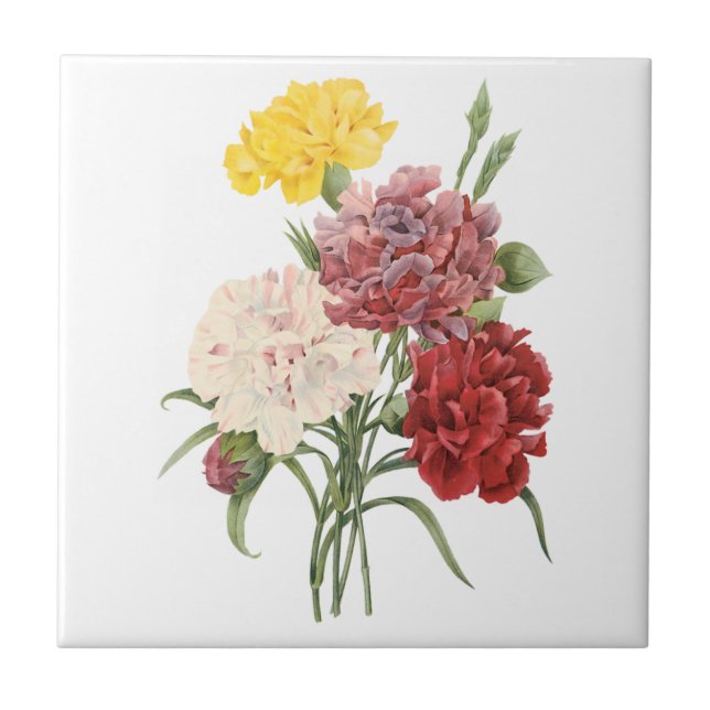 Vintage Nelken Dianthus Garden Blume Redoute Fliese (Vorderseite)