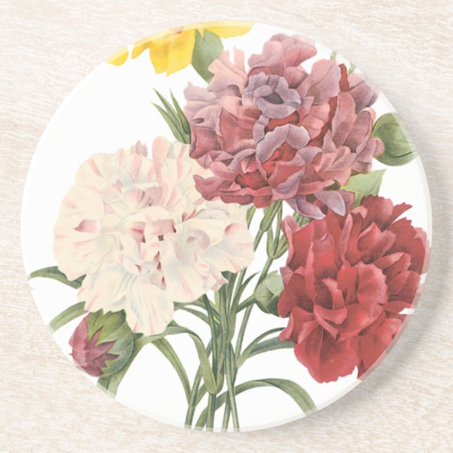 Vintage Nelken Dianthus Garden Blume Redoute Getränkeuntersetzer (Vorne)