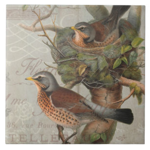 Vintage Nesting Birds Collage Botanic Art Script Fliese