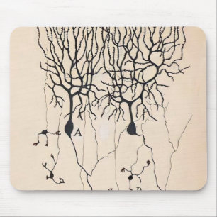 Vintage-Neuron-Zeichnung von Santiago Ramón y Caja Mousepad
