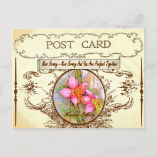 Vintage New Jersey Staat Blume Postkarte