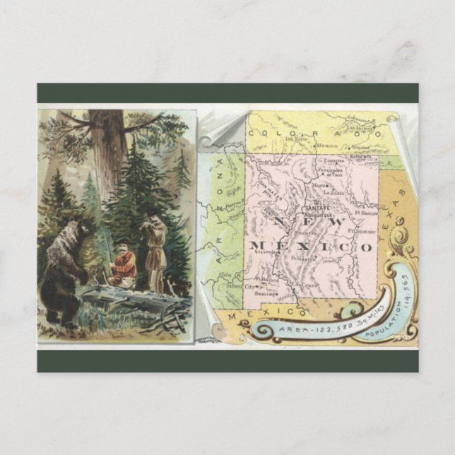 Vintage New Mexico Map Postkarte (Vorderseite)