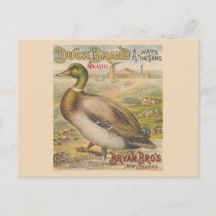 Vintage New Orleans Louisiana Retro Molasses Postkarte
