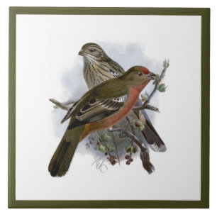 Vintage Niedliche Blaue Vogelart und Foliage Fliese