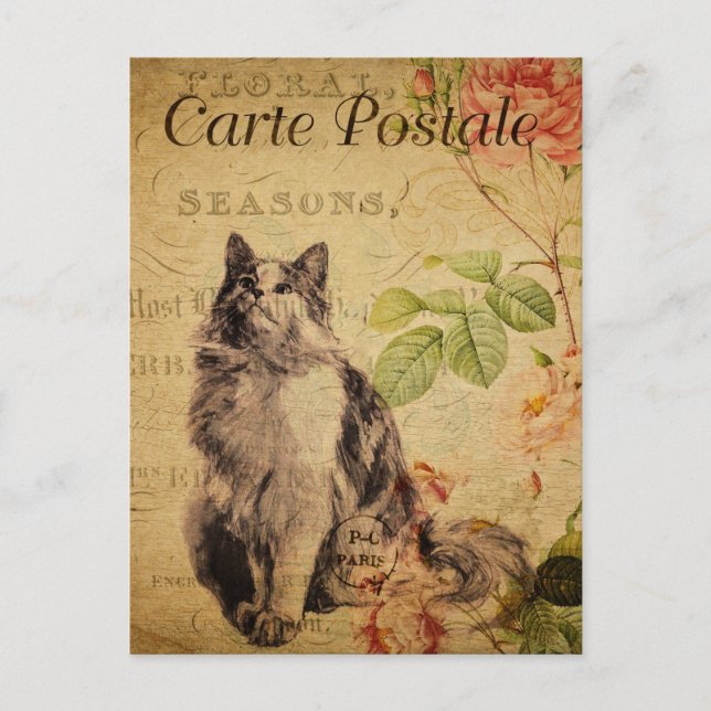 Vintage Niedliche Cat Floral Blume Französisch Postkarte (Vorderseite)