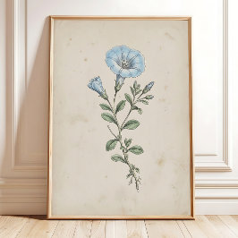 Vintage Nolana-Blumenkunst Antique Heimdekoration Poster