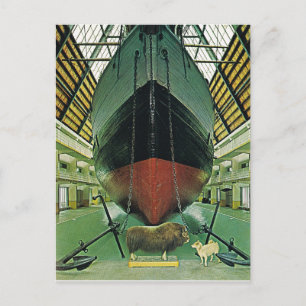 Vintage Norwegen, Oslo, Nansens 'Fram' Postkarte