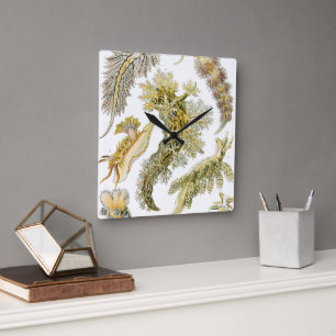 Vintage Nudibranchia, Meeresschnecken von Ernst Ha Quadratische Wanduhr