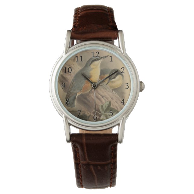 Vintage NuthatchIllustration Armbanduhr (Vorderseite)
