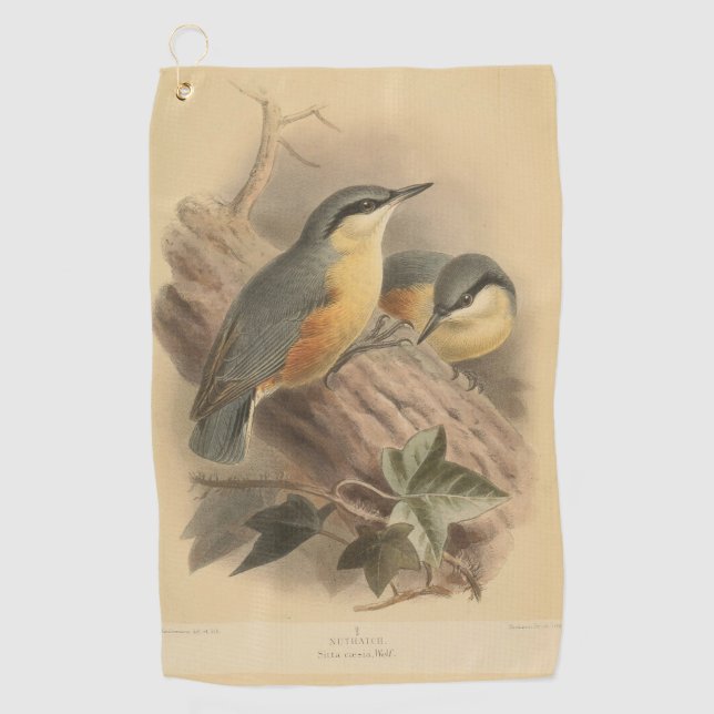 Vintage NuthatchIllustration Golfhandtuch (Vorderseite)