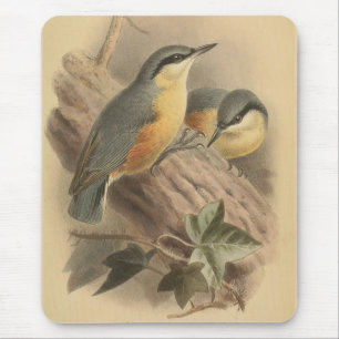 Vintage NuthatchIllustration Mousepad