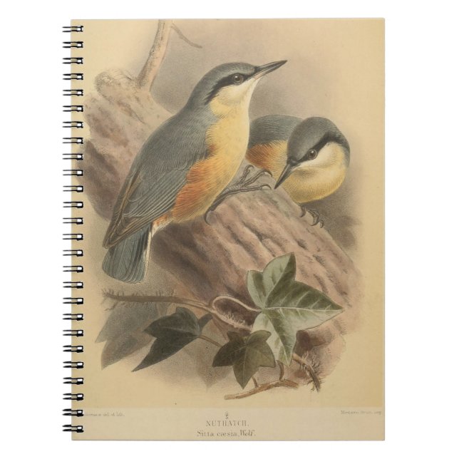 Vintage NuthatchIllustration Notizblock (Vorderseite)