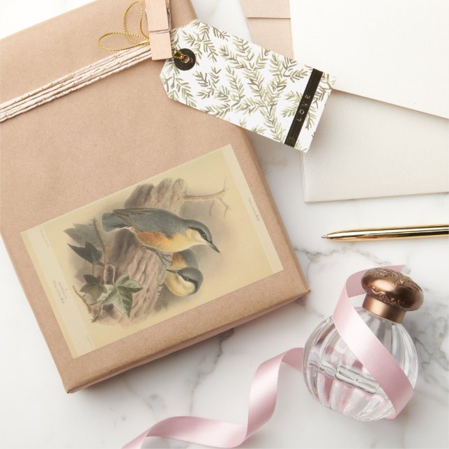 Vintage NuthatchIllustration Rechteckiger Aufkleber (Schenken)