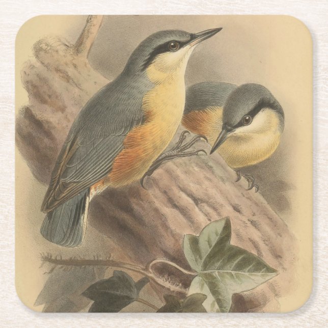 Vintage NuthatchIllustration Rechteckiger Pappuntersetzer (Vorderseite)