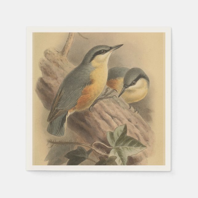 Vintage NuthatchIllustration Serviette (Vorderseite)