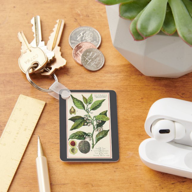 Vintage Nutmeg Pflanze Fruchtsaat, Gewürze für Leb Schlüsselanhänger (Schreibtisch)